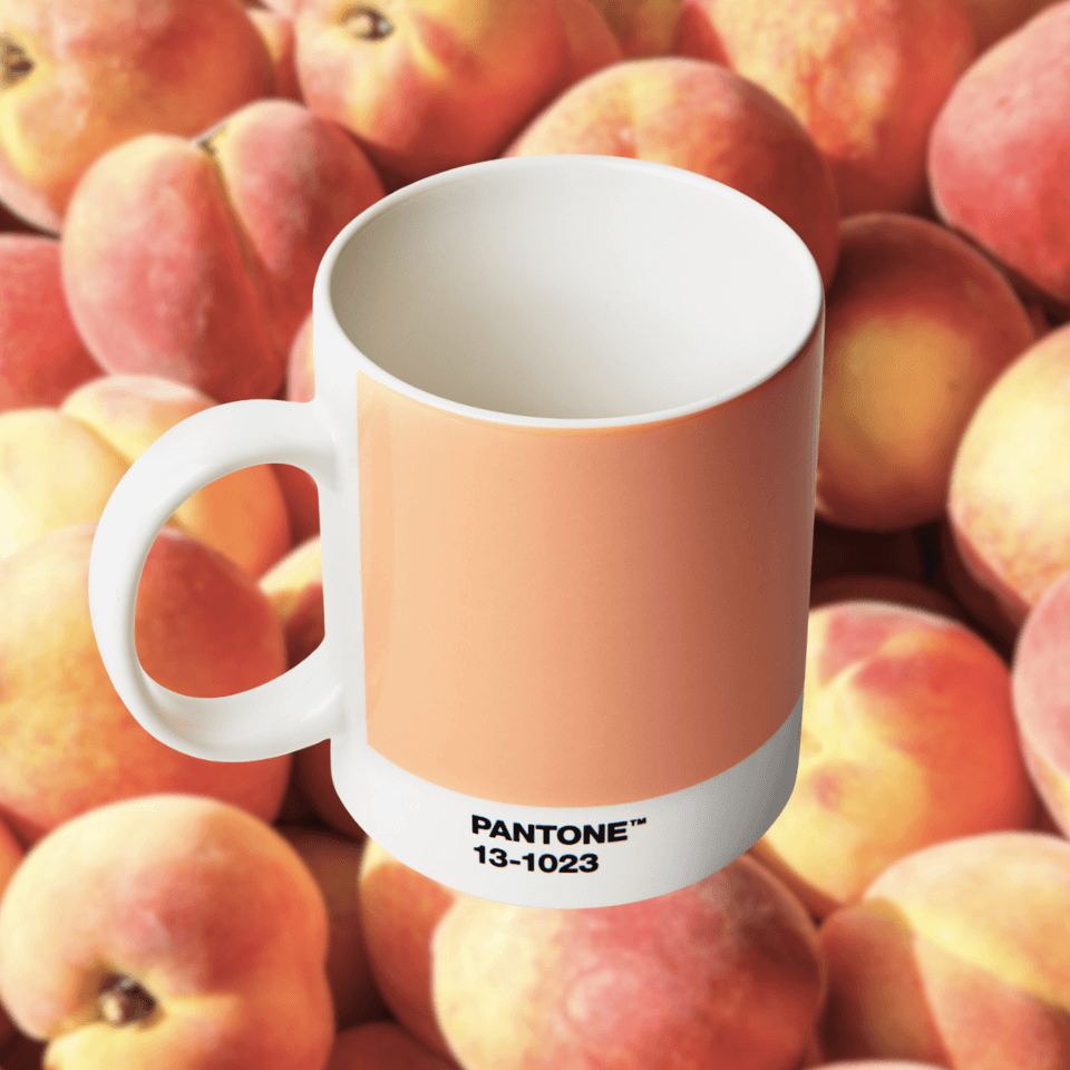 Peach Fuzz is Pantone’s 2024 Colour of the Year