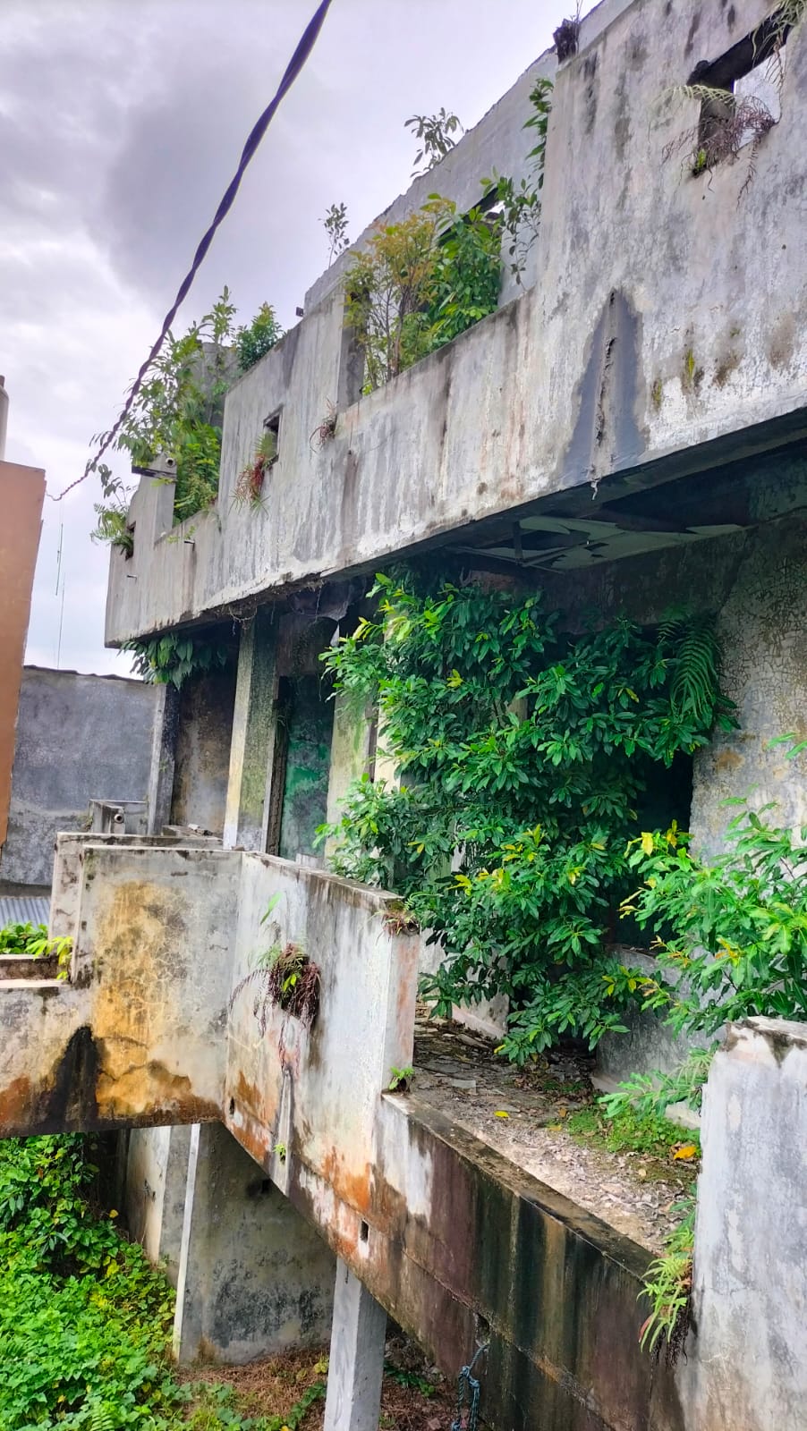 Bangunan Asrama Mahasiswa Gayo di Medan Hancur dan Terlantar – LINTAS GAYO